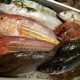 시장에서 매일 구매하는 신선한 야채와 생선을 즐길 수 있다!