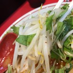 ラーメン 風らいぼう - モヤシとパクチー