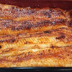 うなぎ 魚政 - 松コース 鰻重
