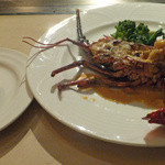 鉄板焼 旬 - 伊勢エビ