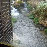 源流の宿　帆山亭 - ③首をのばしたり