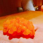 鮨 猪股 - イクラ