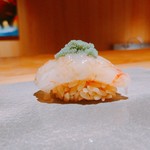 鮨 猪股 - ボタンエビ