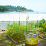 モラモラカフェ - 