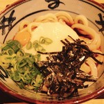 Miyatake Sanuki Udon - とろ玉うどん（温）