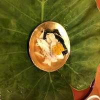 御料理 古川 - 