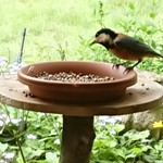 くつきそば 永昌庵 - 