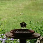 くつきそば 永昌庵 - 