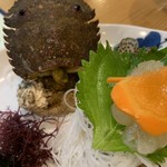 魚将　さかなちゃん - 