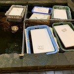 魚将　さかなちゃん - 