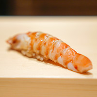 鮨 はしもと - 車海老