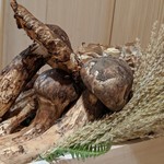 津の守坂 小柴 - 