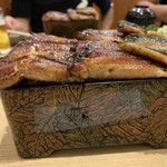 Unagi Kazutomo - 