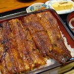 炭火焼うなぎ 東山物産 - 鰻丼