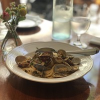 表参道バンブー - 日替わりパスタ、この日はボンゴレ
                    