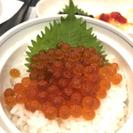 一匠 - 料理写真:キラキラ生いくら、美味しいー!