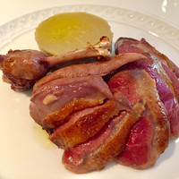 フォリオリーナ・デッラ・ポルタ・フォルトゥーナ - 