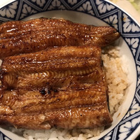 うなぎ 目白ぞろ芽 - 