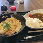 Hanamaru Udon - おろししょうゆうどん中とカレーのセット