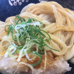 Hanamaru Udon - 冷おろししょうゆうどん中