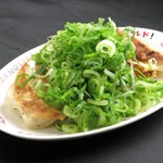 広島県産ネギ使用『ひろしまギョウザ』7個