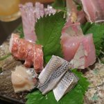 辰美寿し - 新鮮です