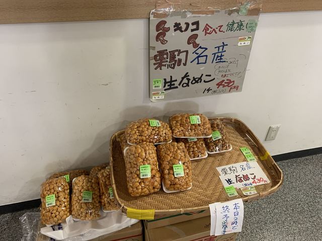 ハイルザーム栗駒 - 栗原市その他（旅館・民宿）の写真