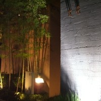 吉星 - 