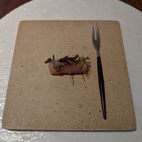 ル スプートニク - 