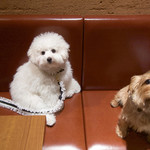 OSTERIA dieci - ジルを待っているところ・・