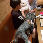 OSTERIA dieci - ジルが来ました！！