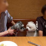 OSTERIA dieci - ジルちゃん・・