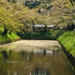 松川温泉　峡雲荘 - 弘前城：完全に終わってます...