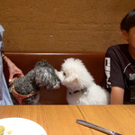 OSTERIA dieci - 大好き〜♡