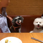 撮れました！２ショット！！