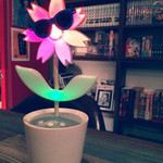 駄菓子BARウサギ堂 - 