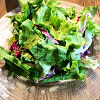 BISTRO FAVORI 代官山 - 