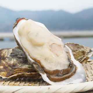 調布でおすすめの美味しい居酒屋をご紹介 食べログ