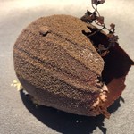 ル スプートニク - 2019/9