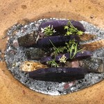 ル スプートニク - 2019/9