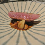 リストランテ カノフィーロ - ブルターニュ産小鴨胸肉のアロースト　ポルチーニとマルサラのソース