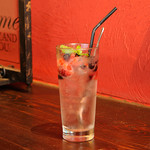 ハミングバード2000