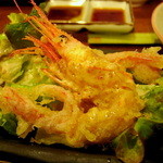 海だより - 増毛産　甘エビのユズマヨ仕立て