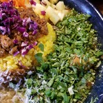 ホールスパイスカレー青藍 - カレー定食２種盛＋チーズ＋パクチー