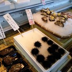 菅原鮮魚 さかた海鮮市場本舗 - 