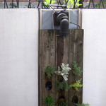 エビスエスクラッシコ - テラスに・・