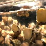 根室花まる - 店内