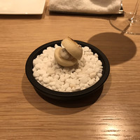 マンサルヴァ - 
