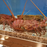 中納言 大阪駅前第3ビル店 - 