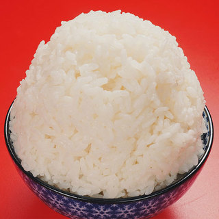 憧れの【まんが盛りごはん】